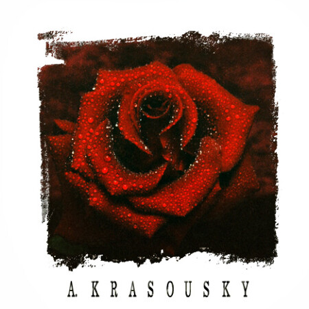 ночной бархат