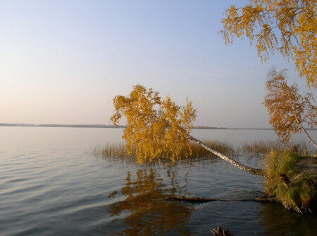 Склонилась сестрица воды напиться