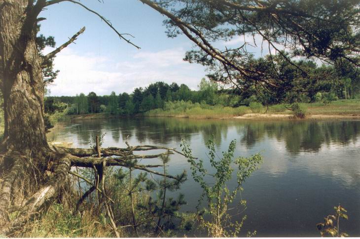 Pine-river