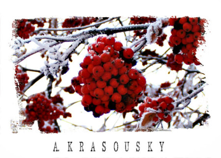 подарки тетушки зимы