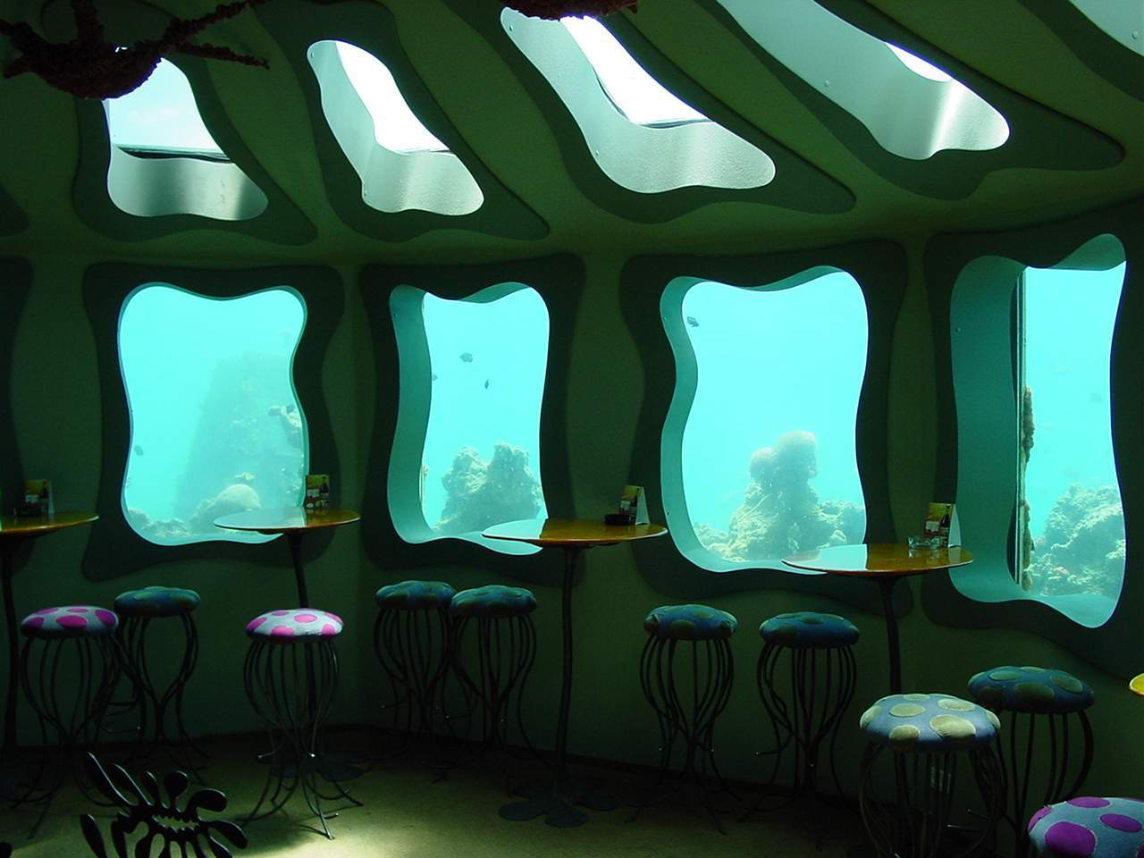 Eilat. Бар в глубине Красного моря