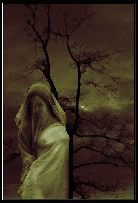DREAMS или ...............................
