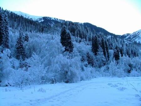 зима в урочище Медео