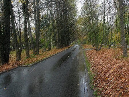 Немного осени...