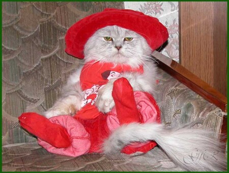 Merry Christmas С наступающим...