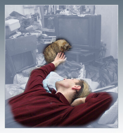 Человек и кот