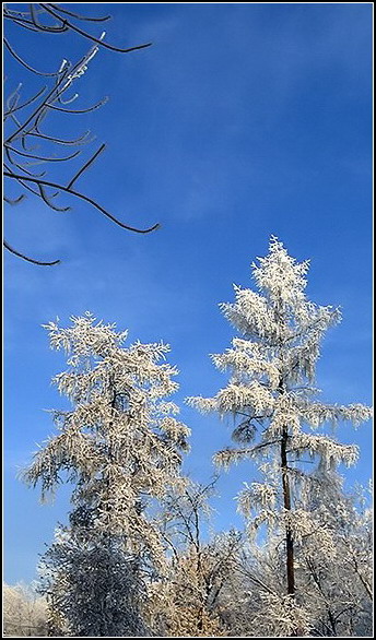 Зимнее небо