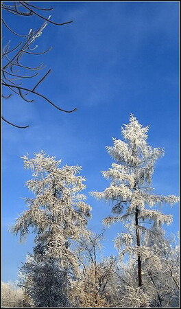 Зимнее небо