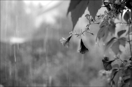 Меланхолия