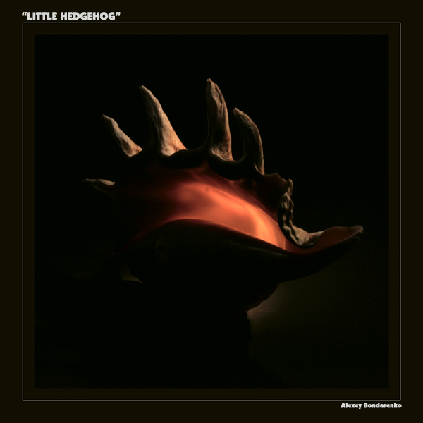 ЕЖИК / LITTLE HEDGEHOG 