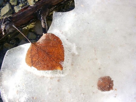 Последний лист