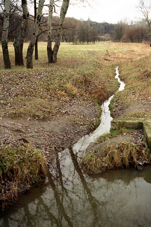 Осеннее настроение (3)