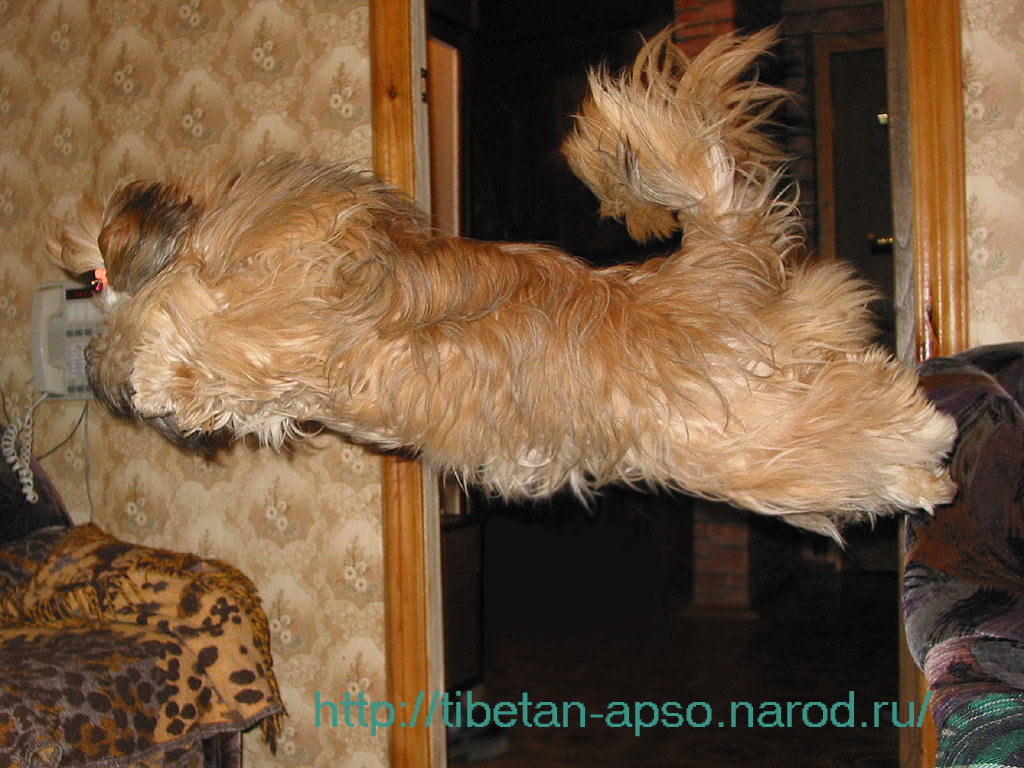 Полет