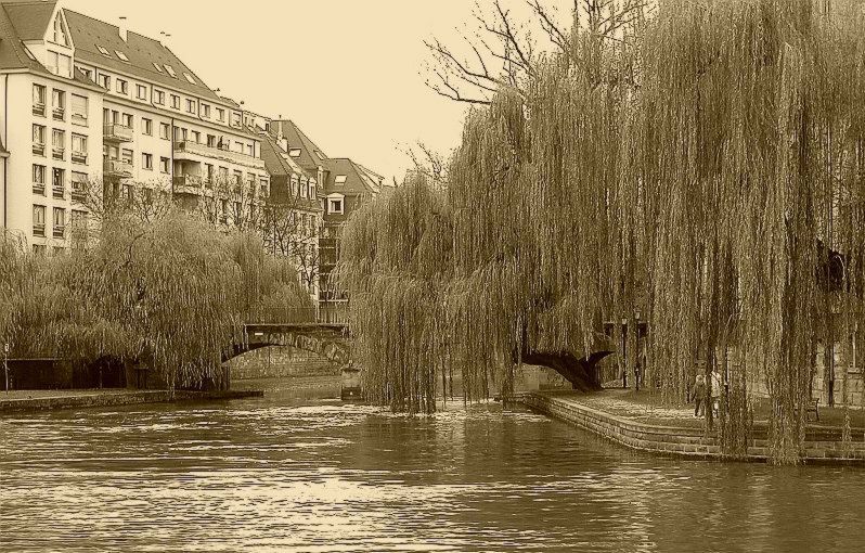 Старые Ивы