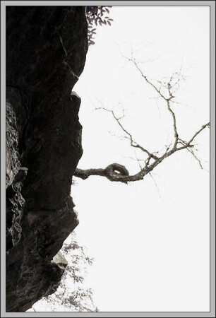 Покорёженное судьбой