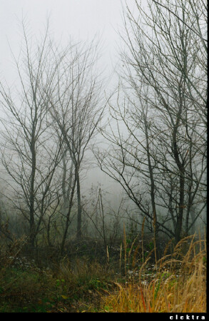 &amp;gt;&amp;gt;&amp;gt;Без ёжика...&amp;lt;&amp;lt;&amp;lt;