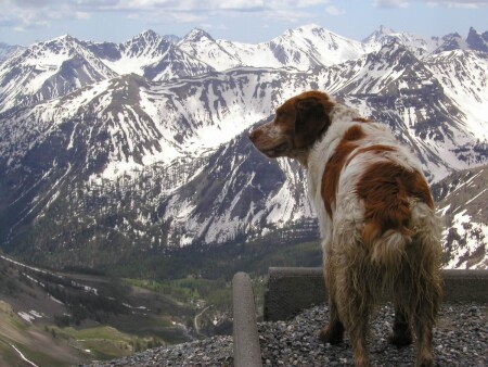Весна Пришла