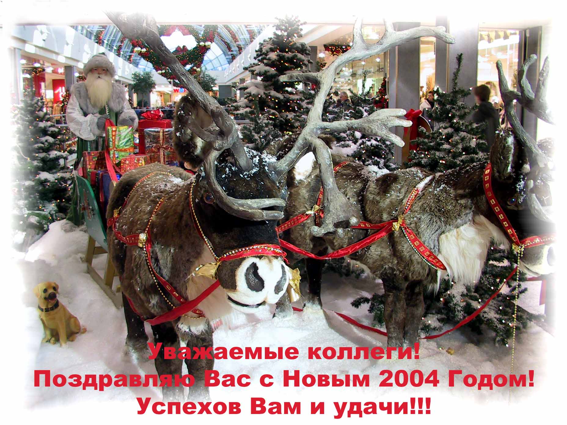 С Новым Годом, коллеги!!!