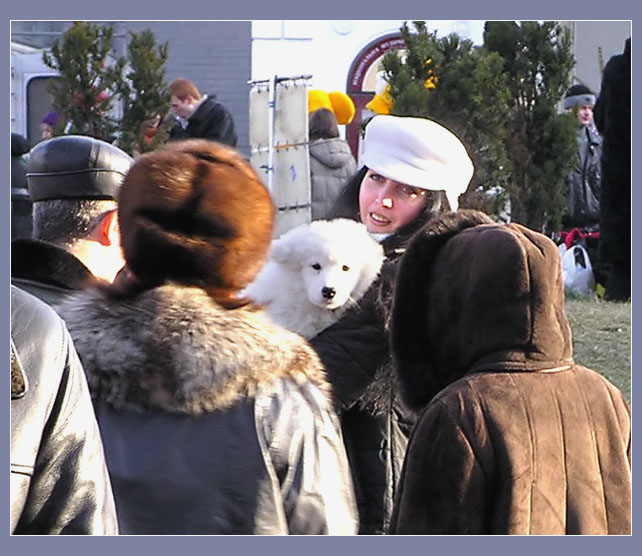 Купите хомячка ...