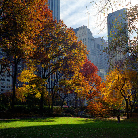Осень в Нью-Йорке