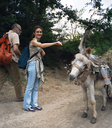 Ушки на макушке [2] ;) 