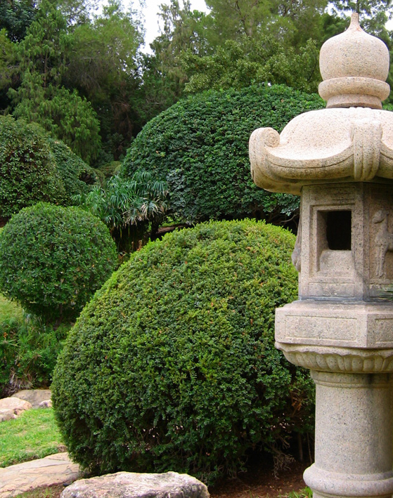 Japanese park 3