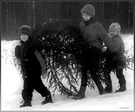 С НОВЫМ ГОДОМ !!!