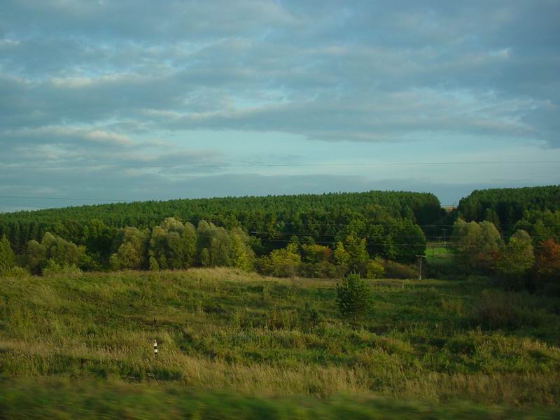 Осенний лес