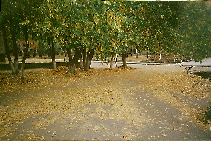 Пришла осень