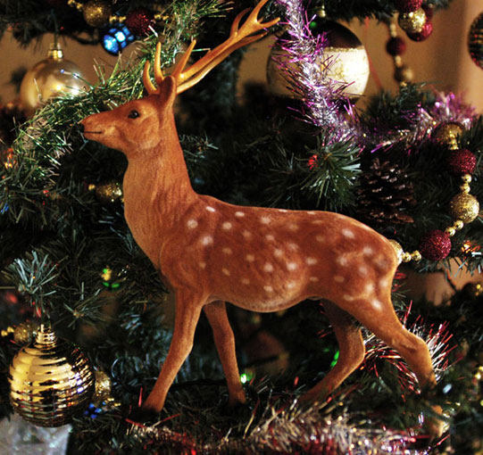 Santa's Reindeer