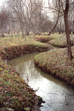 Осеннее настроение (4)