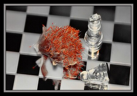 Поле боя