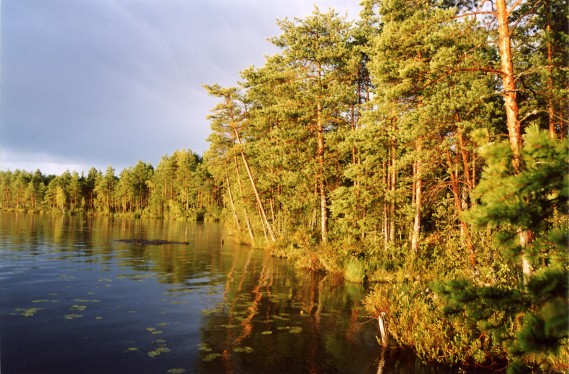 После грозы