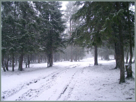 Зимняя идиллия