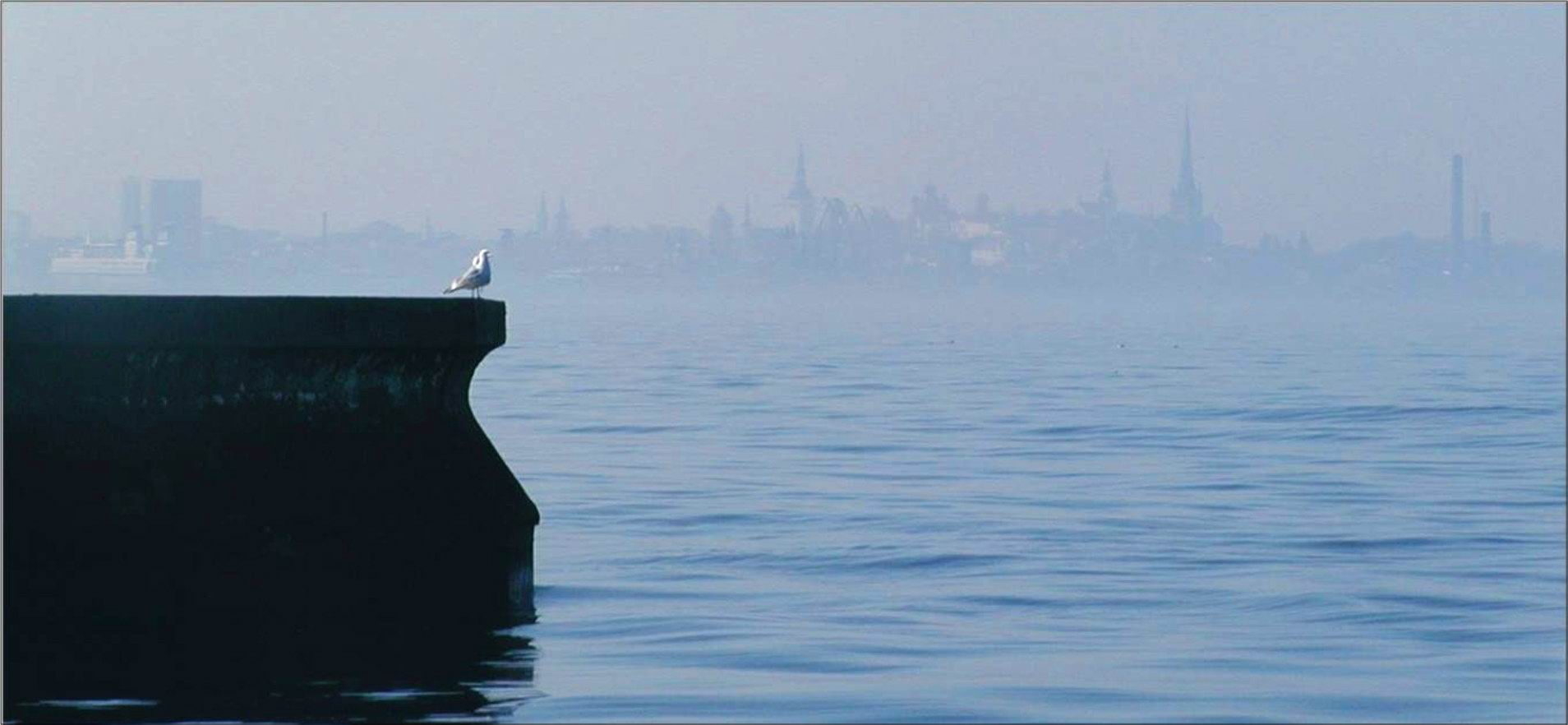 Таллинн в тумане 2