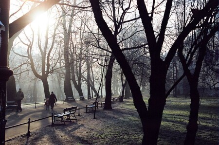 Краковский парк, утро.