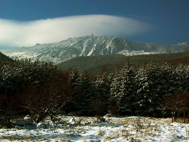 Vitosha