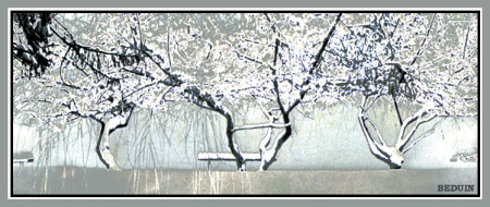 серебряные ивы