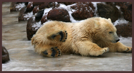 Мишель Питерский!!!