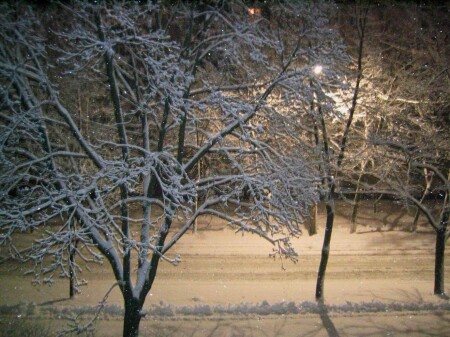 Тиха украинская ночь...