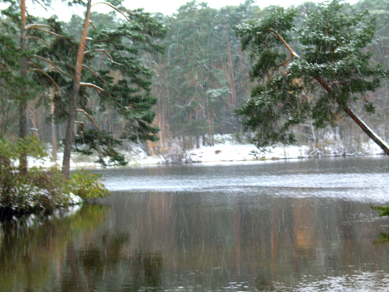 Художница - Зима