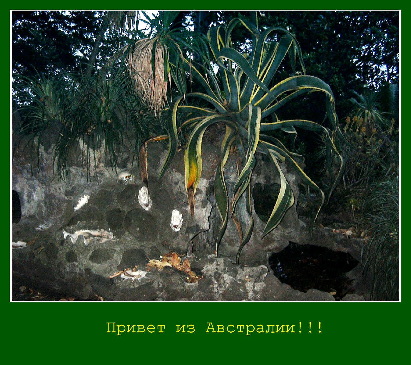 Привет из Австралии!