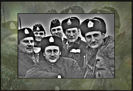 МОРСКИЕ ВОЛКИ