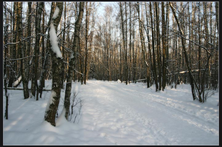Зимний парк...