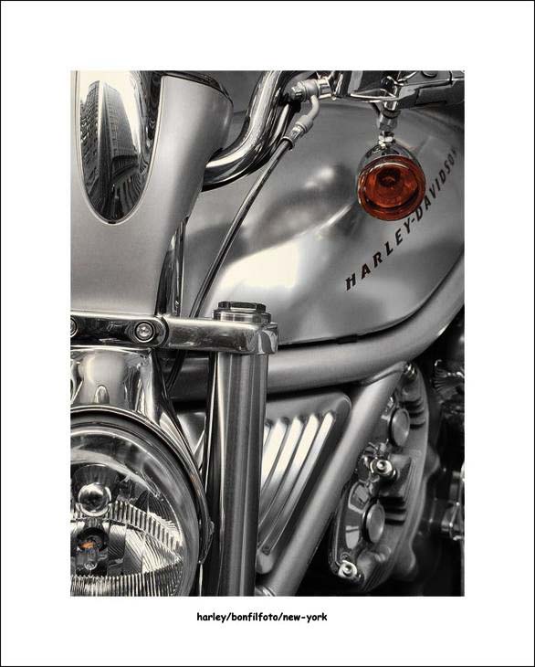 picture&quot;HARLEY&quot; 3 prize in &quot;north american open amateur photography contest&quot;