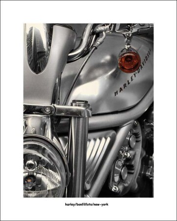 picture"HARLEY" 3 prize in "north american open amateur photography contest"