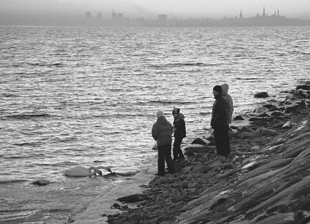 Лебединая парочка...