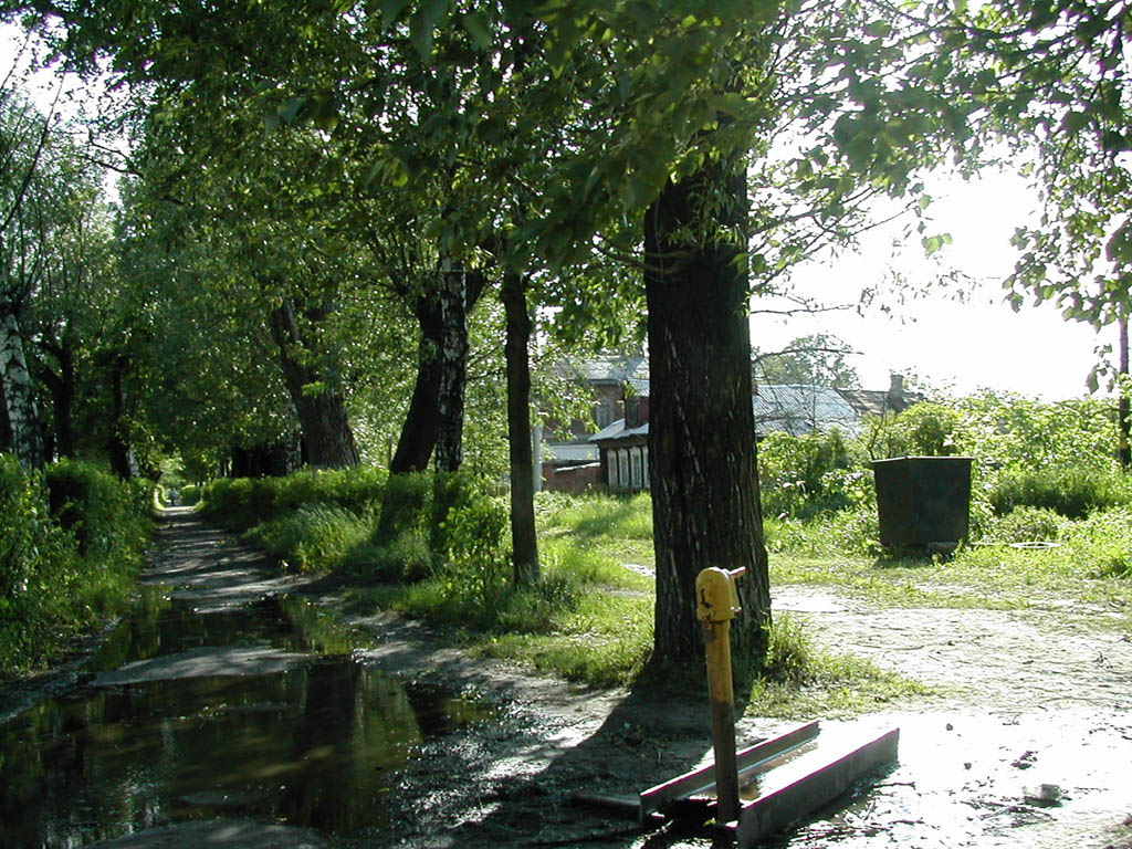 Тенистая аллея