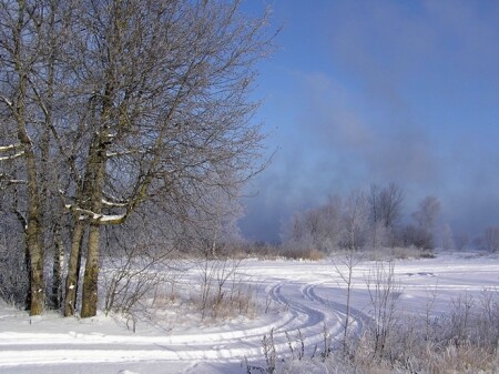 Зимний этюд.