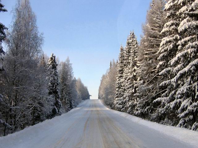 Дорога